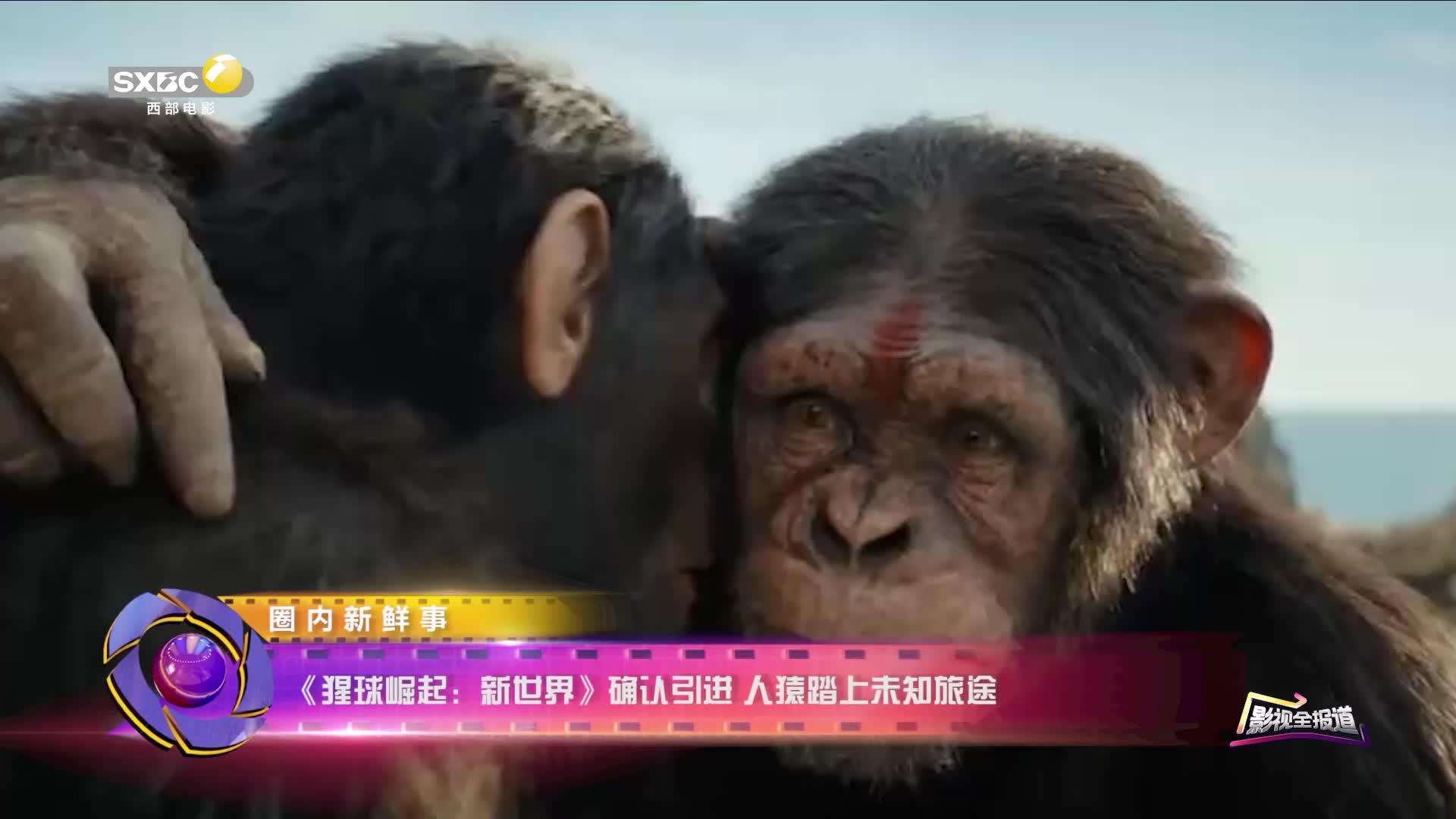 影视全报道：《猩球崛起：新世界》确认引进