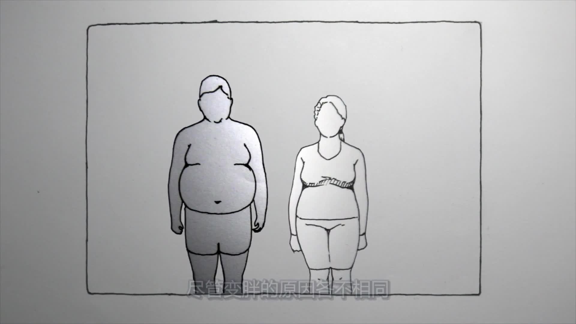 【手绘科学】人到中年为什么会长胖？