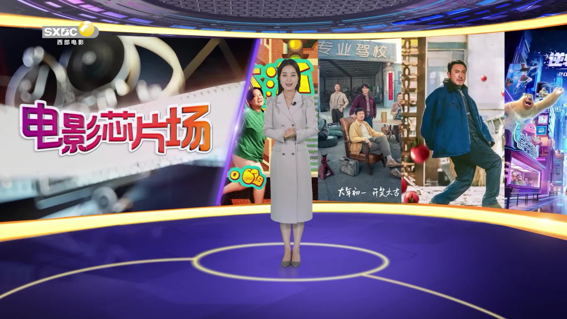 影视全报道：2024年国产电影市场分析与未来展望