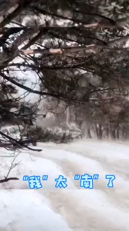 雪天行车的惯性和摩擦力--中国数字科技馆