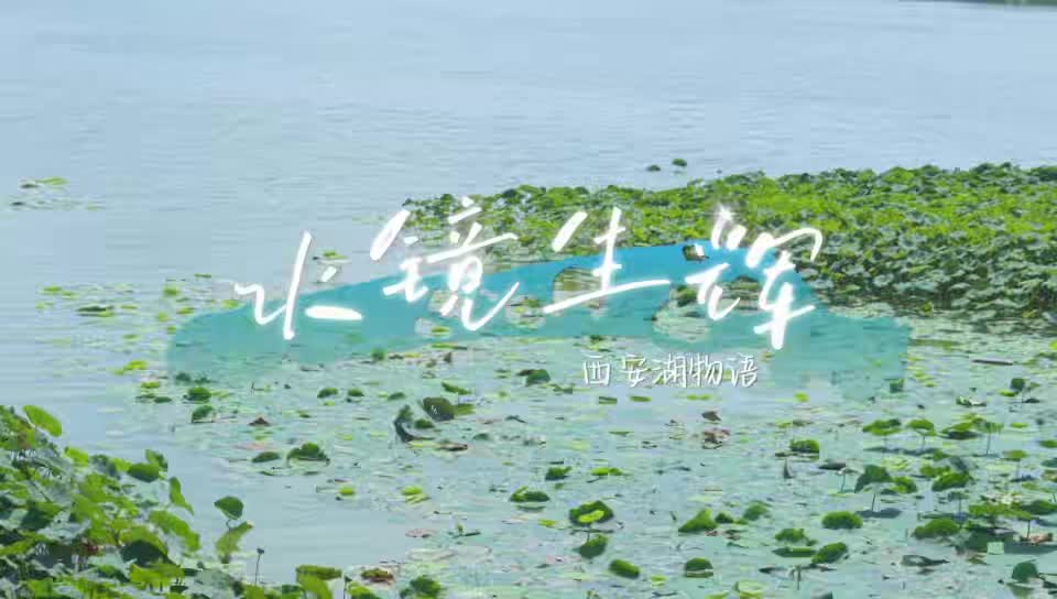 西安经济技术开发区管理委员会生态环境局《水镜生辉：西安湖物语》