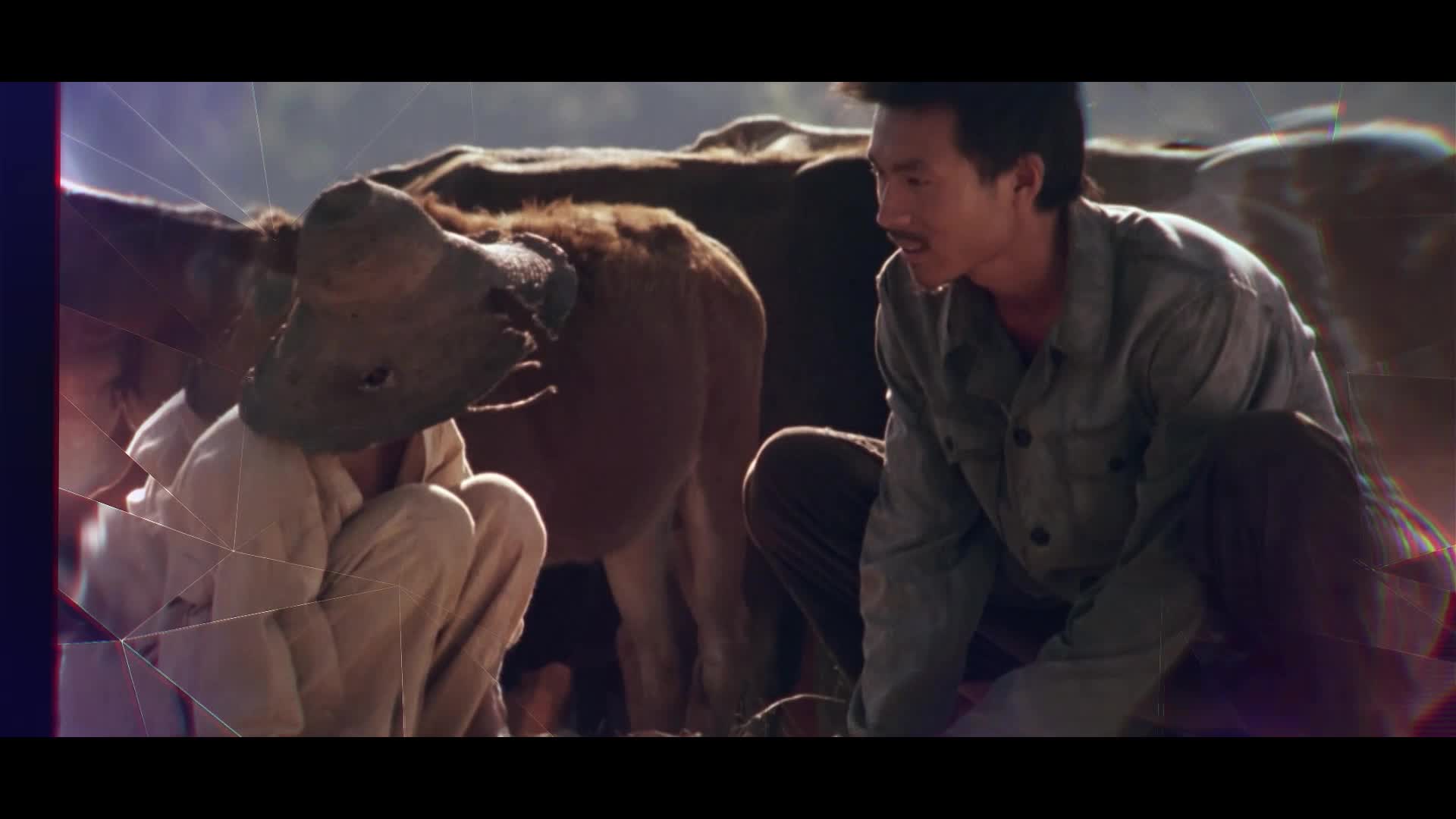 《西部电影的荣耀与梦想》