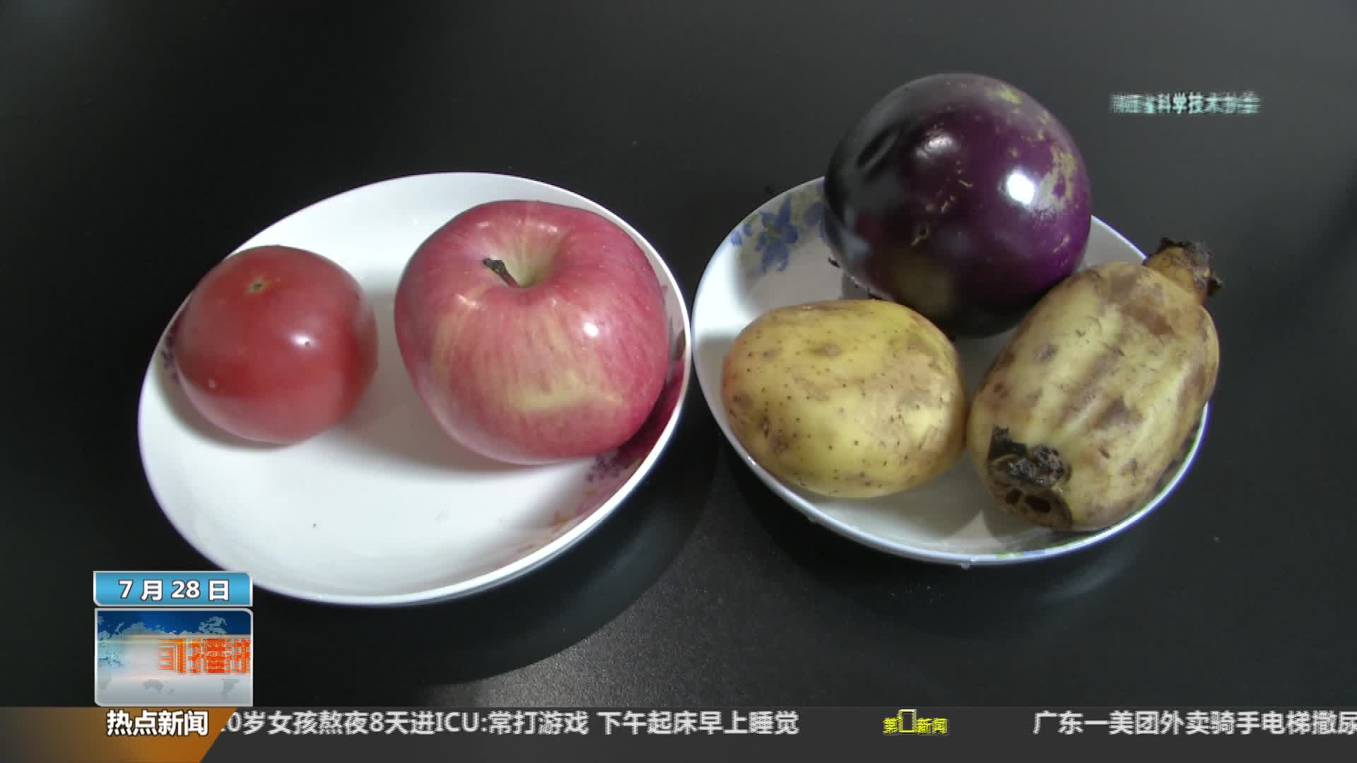 陕西省科学技术协会【全民实验室】：陶瓷刀切蔬果不易变色氧化