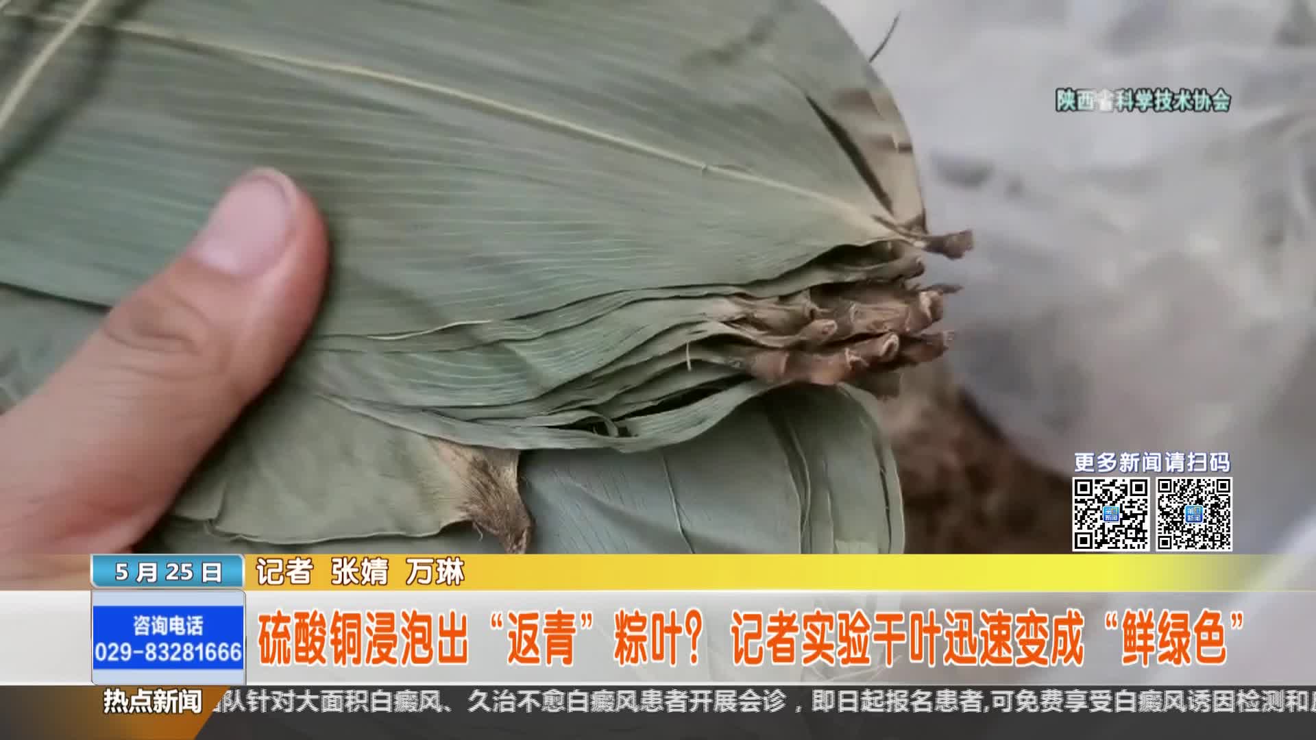 陕西省科学技术协会【全民实验室】：硫酸铜浸泡出返青粽叶