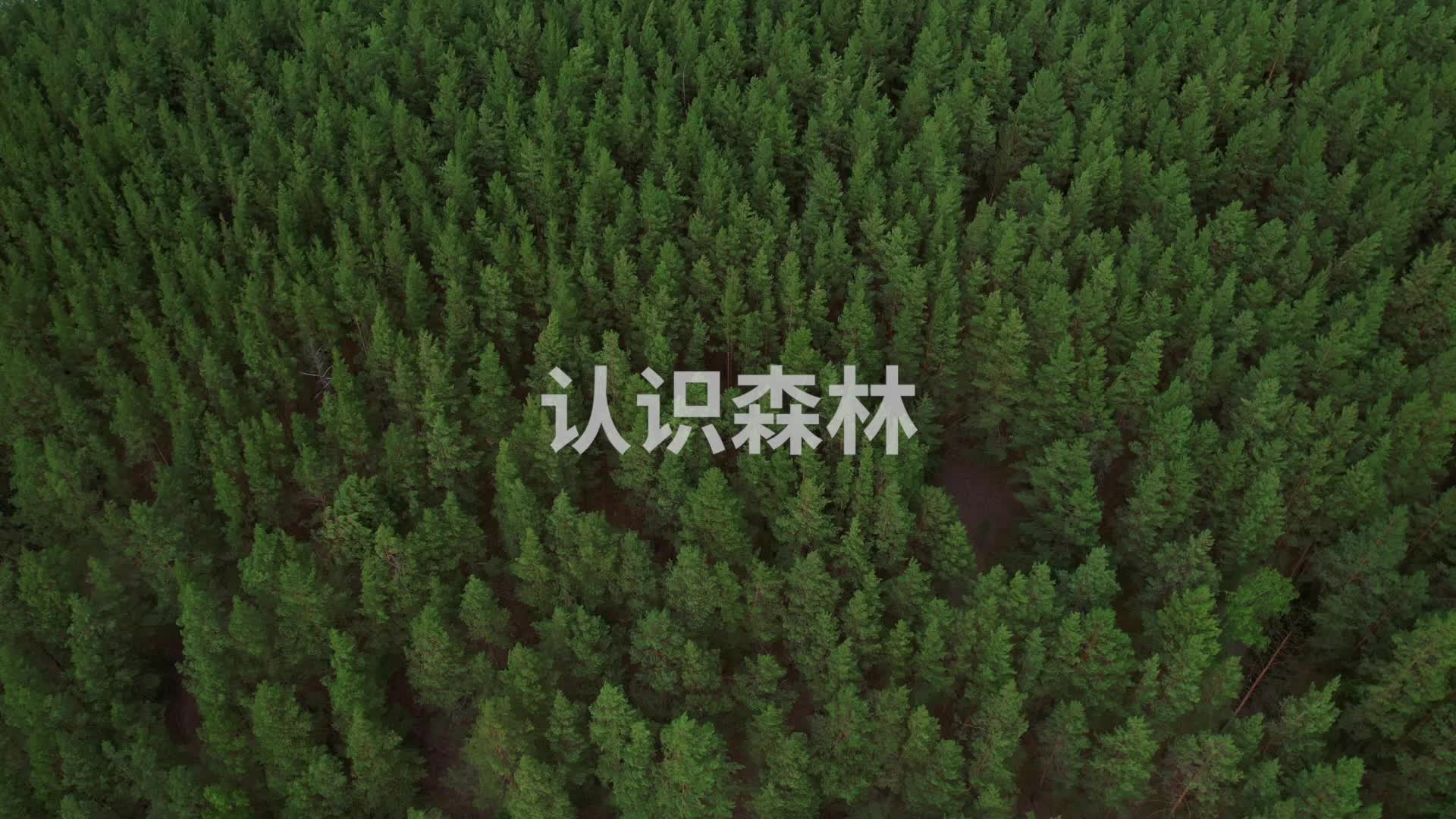 【科学家讲座】 认识森林