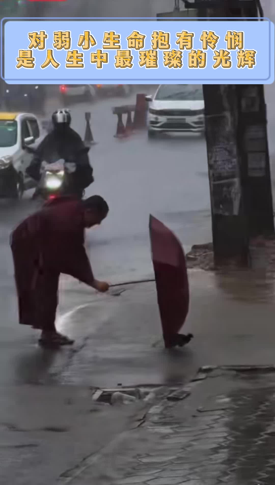 怜悯之心是人性中最璀璨的光辉