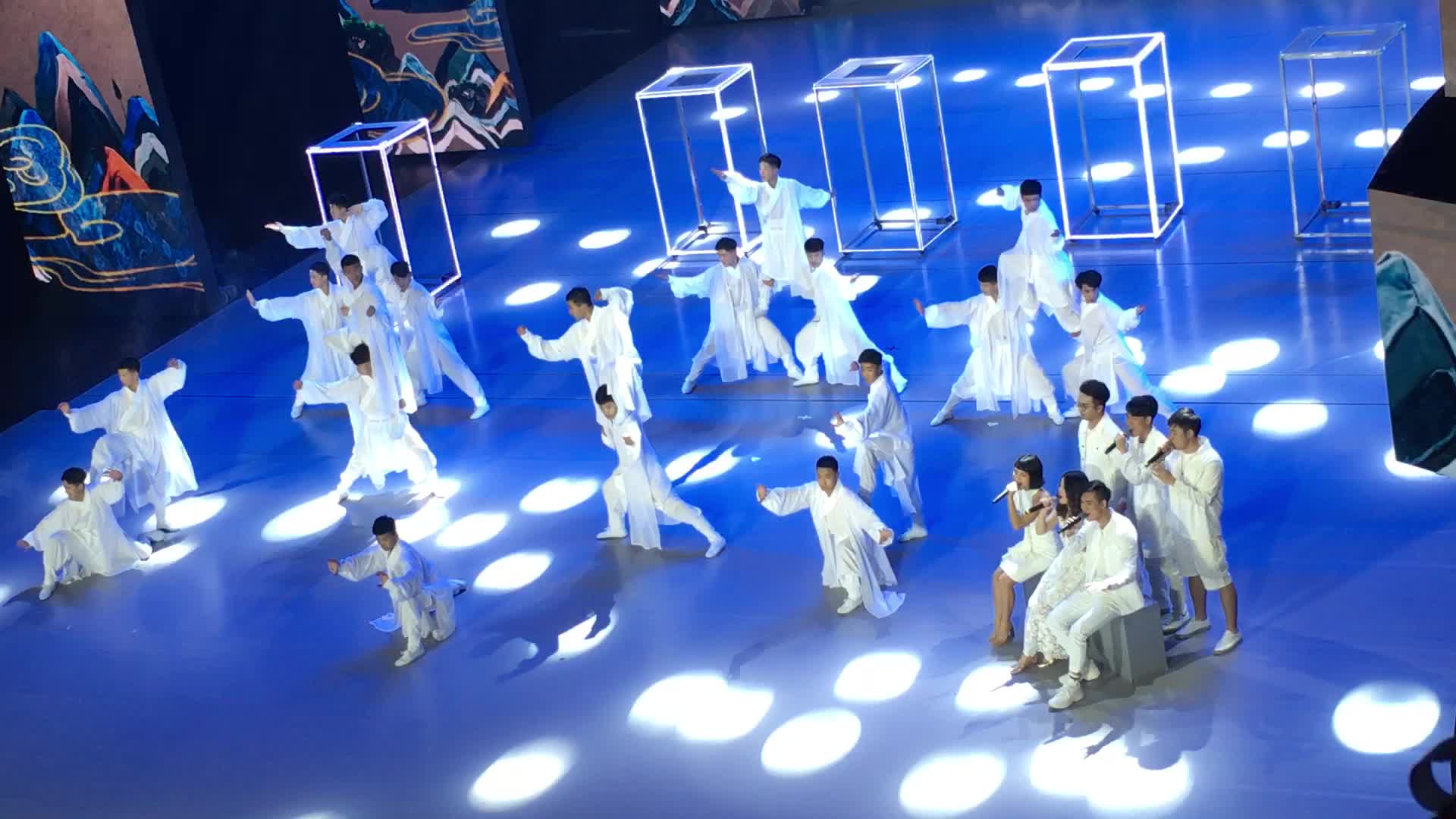 武术表演《随缘》