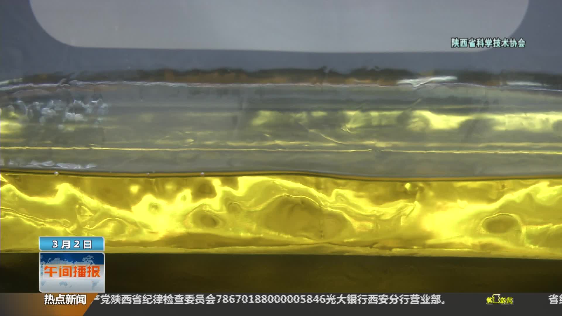 陕西省科学技术协会【全民实验室】：食用油开封时间太长会变质？