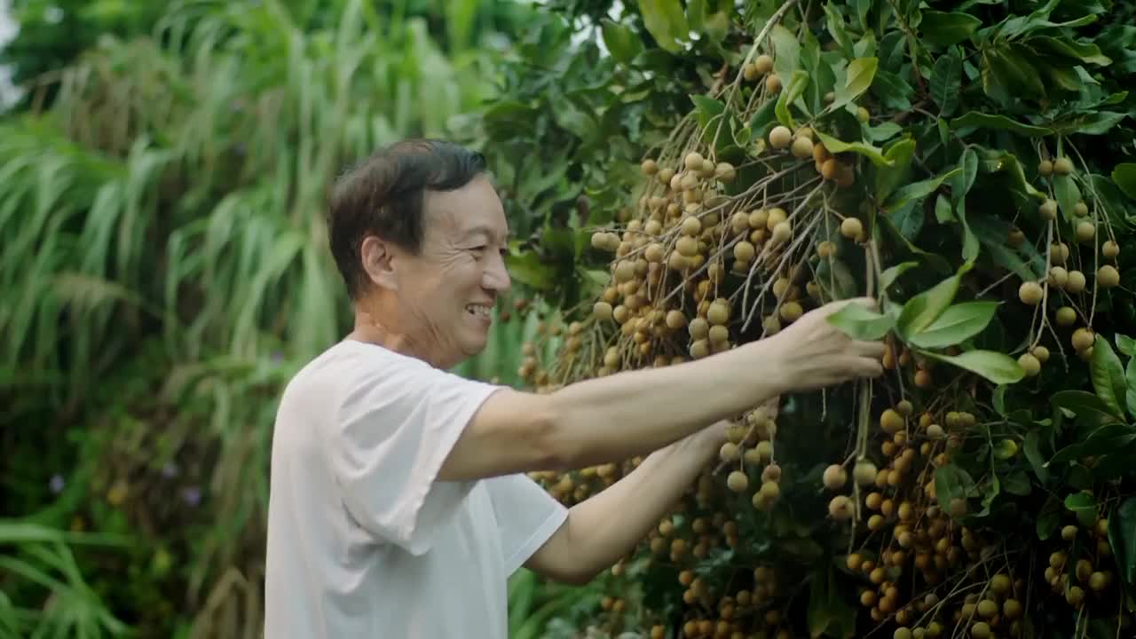 廉政微电影《果树补偿款去哪了？》